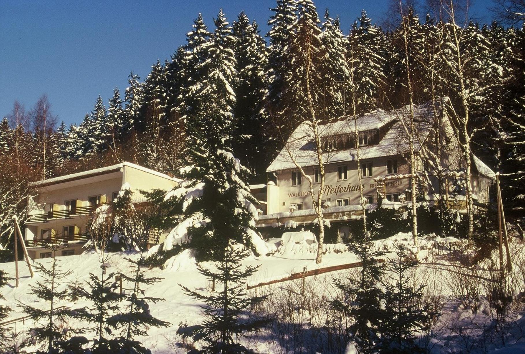 Waldpension Pfeiferhaus Warmensteinach Exterior photo